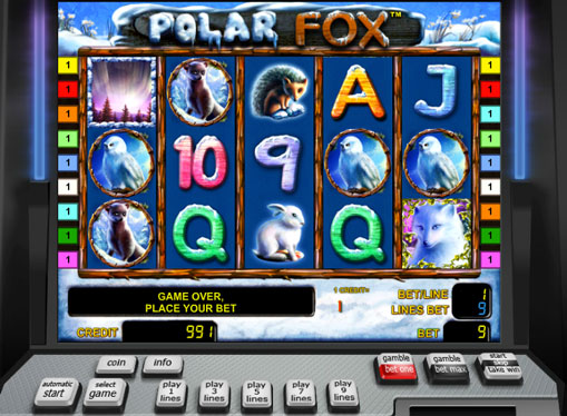 Polar Fox juega el tragamonedas en línea